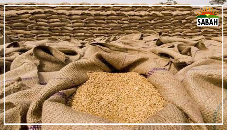 World Bank suggests Pakistan to eliminate its role gradually in the public procurement of wheat