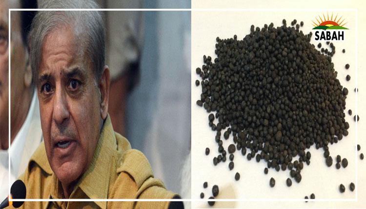 Farmers forced to purchase urea in black: Shehbaz