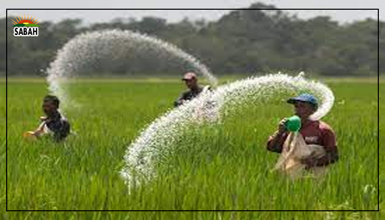 Rabi season: Federal Cabinet approves import of 300,000 metric tons of urea