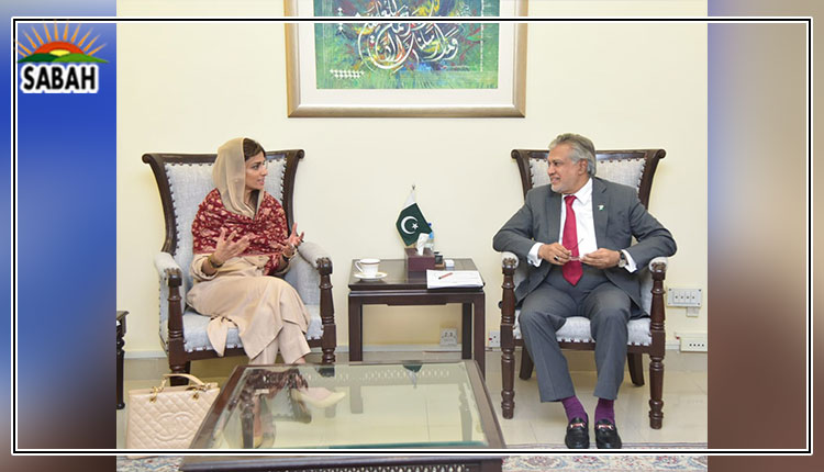 Ishaq Dar, Hina Rabbani Khar discuss current economic situation of the country