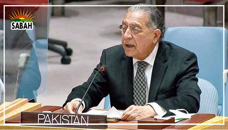 Pakistan urges to implement UNSC resolutions on Kashmir, Palestine